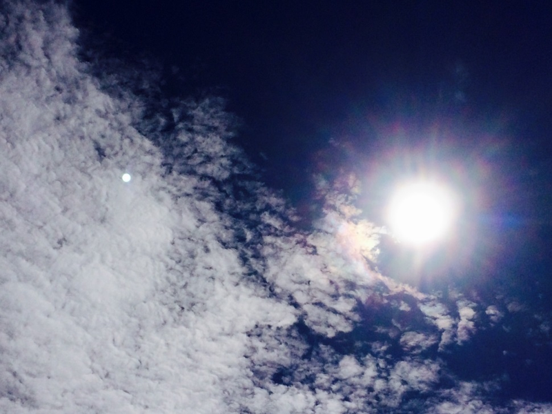 Illustration for article titled 10 Stunning Shots Of The Solstice